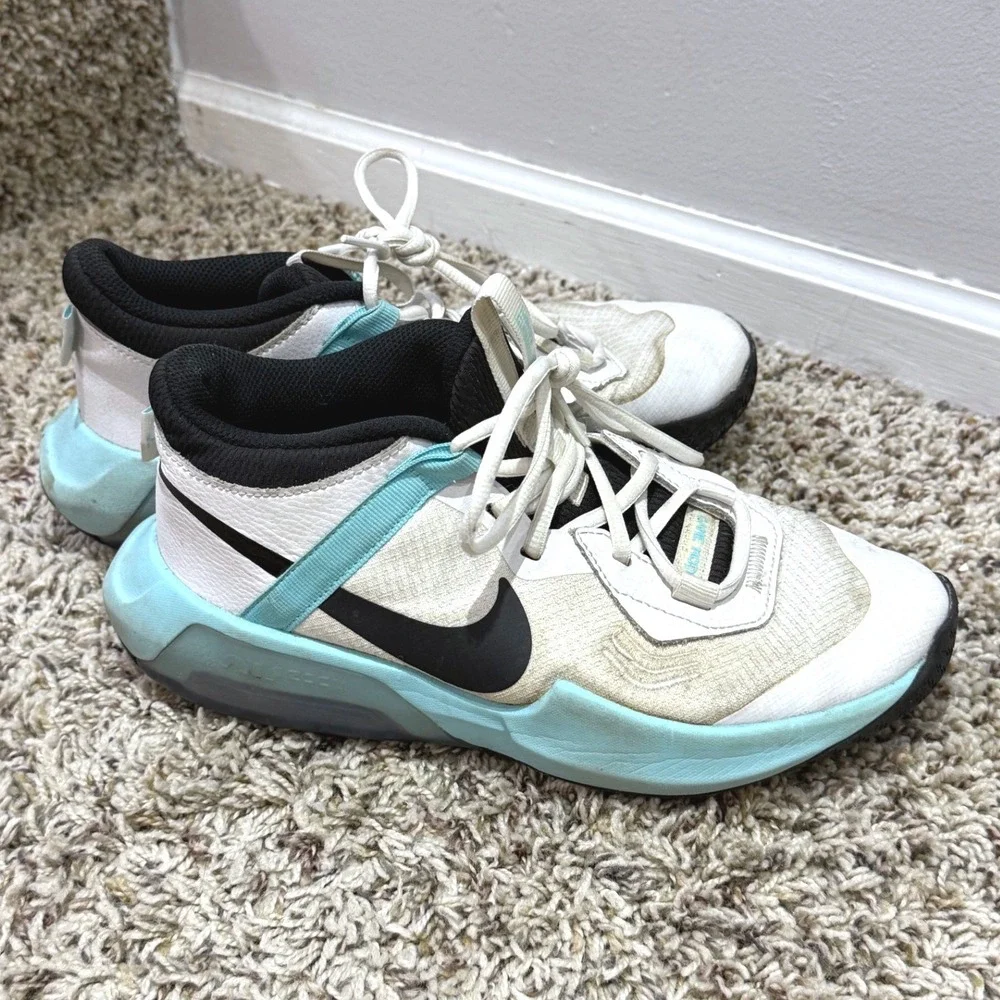 Nike Giannis Immortality White Aqua Blue Basketball Shoes DC5216-101 Kids 6Y